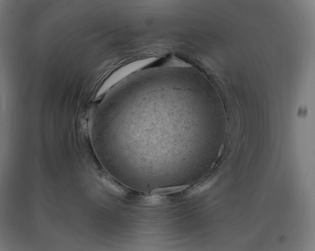 X0000090630432200707311309