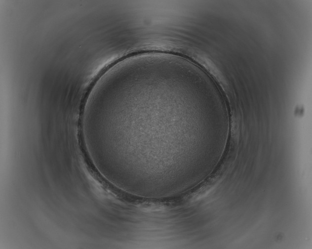 X0000090630434200707311309