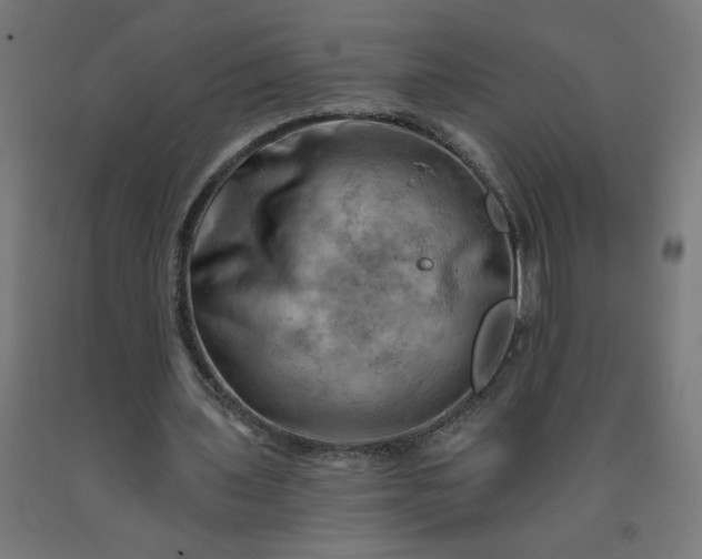 X0000090630435200707311309