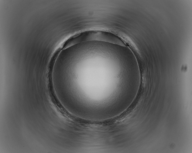 X0000090630436200707311309