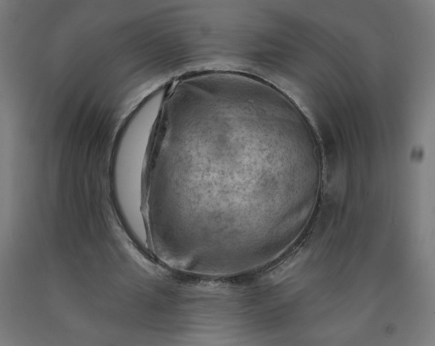 X0000090630437200707311309