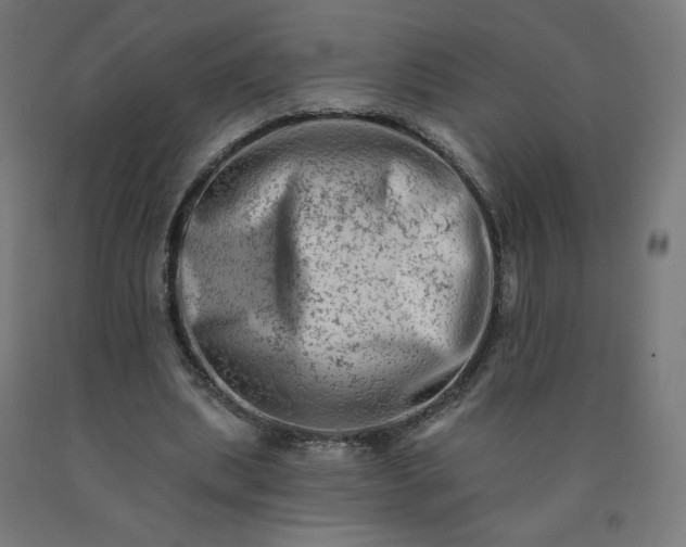 X0000090630439200707311309