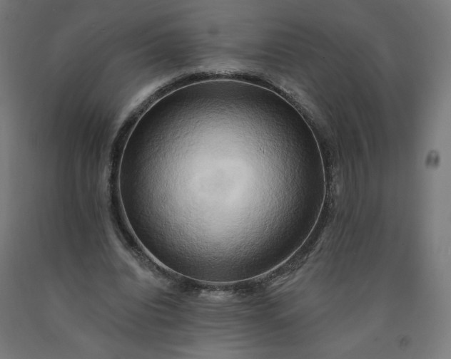 X0000090630440200707311309