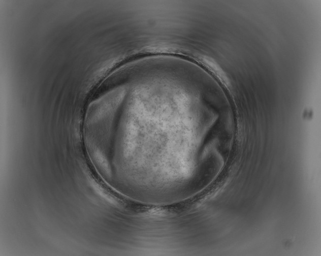 X0000090630441200707311309