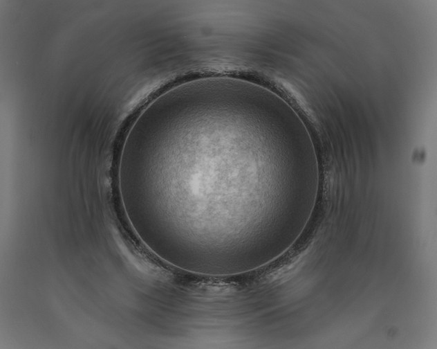 X0000090630443200707311309