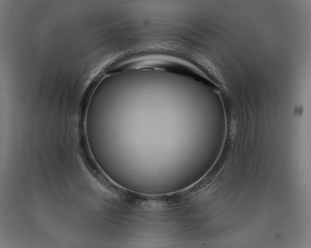 X0000090630444200707311309
