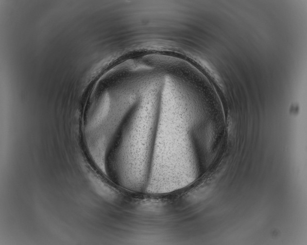 X0000090630445200707311309