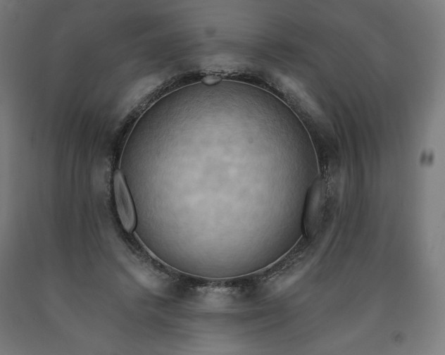 X0000090630448200707311309