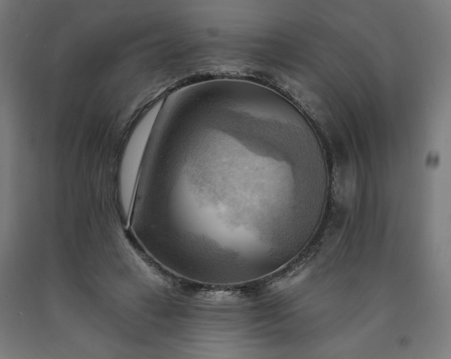 X0000090630449200707311309