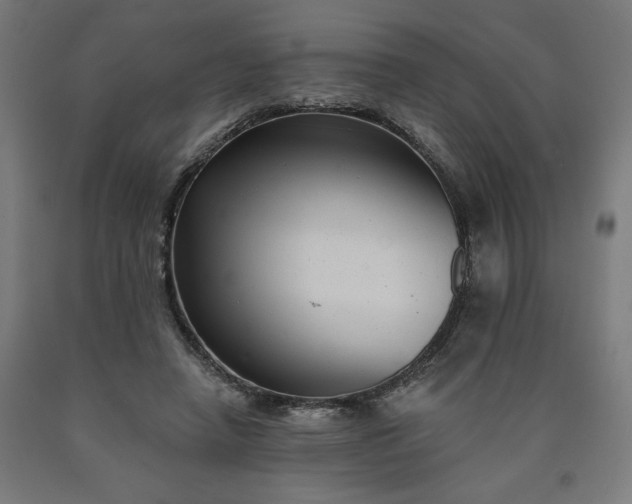X0000090630450200707311309
