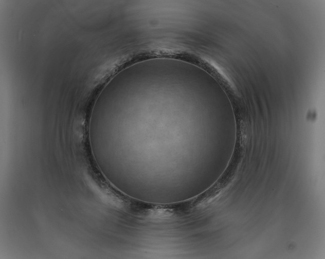 X0000090630451200707311309