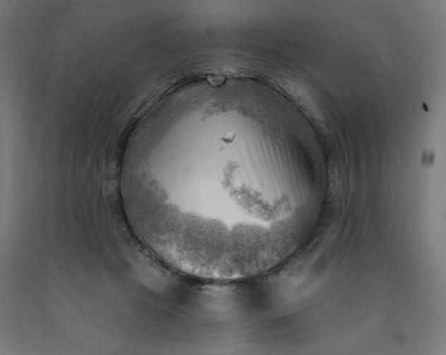 X0000090630457200707311309