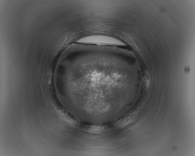 X0000090630458200707311309