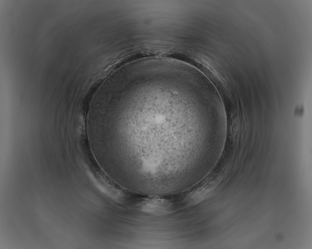X0000090630459200707311309