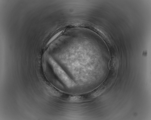 X0000090630461200707311309