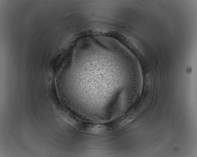 X0000090630463200707311309