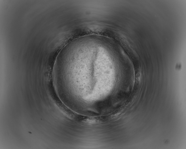 X0000090630464200707311309