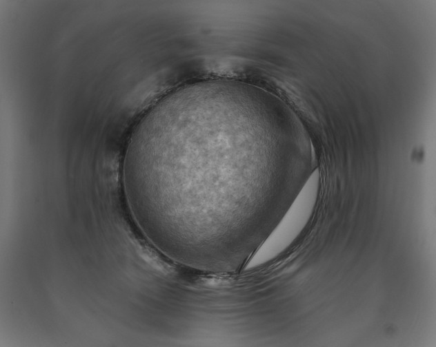 X0000090630466200707311309