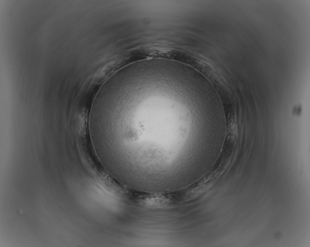 X0000090630468200707311309