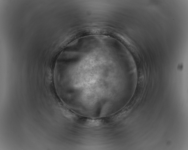 X0000090630469200707311309