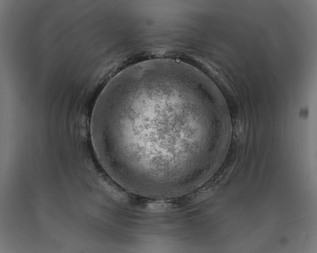 X0000090630470200707311309