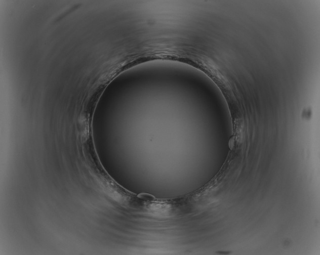 X0000090630471200707311309