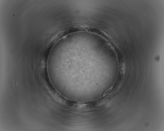 X0000090630472200707311309