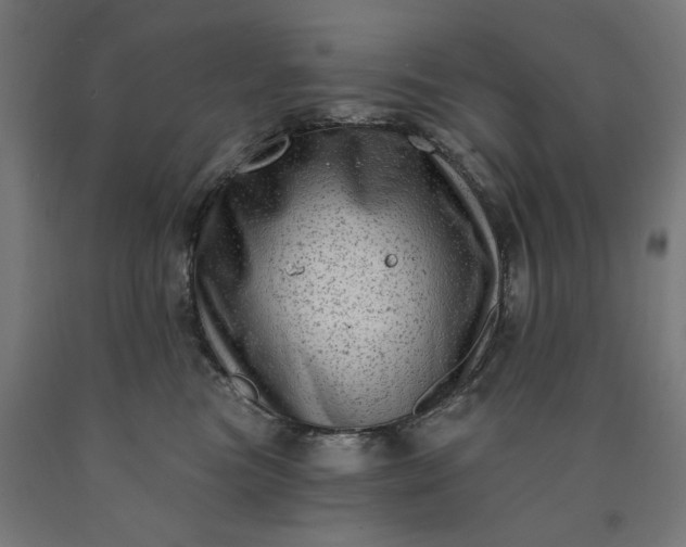 X0000090630473200707311309