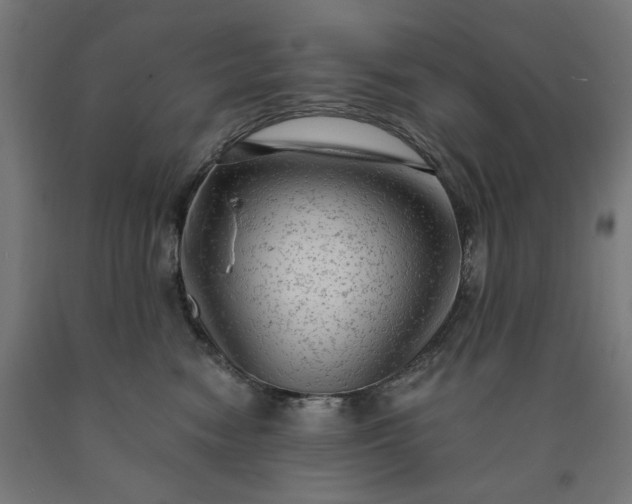 X0000090630474200707311309