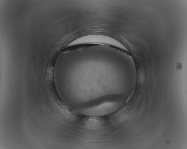 X0000090630475200707311309