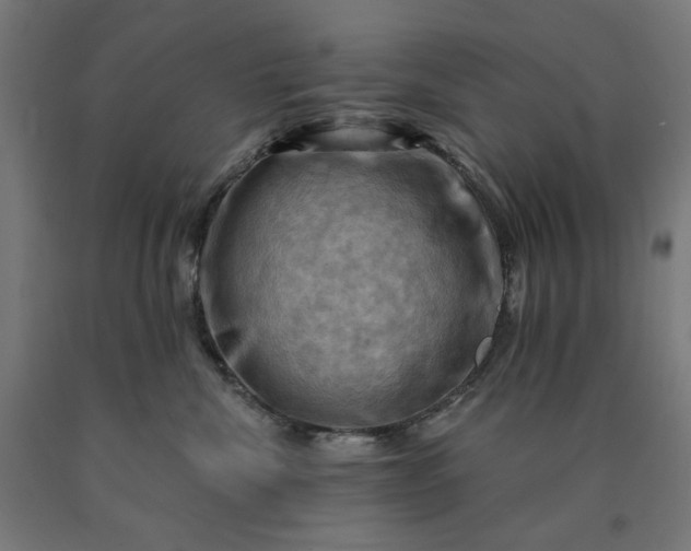 X0000090630476200707311309