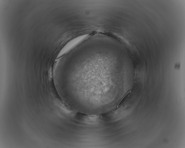 X0000090630479200707311309