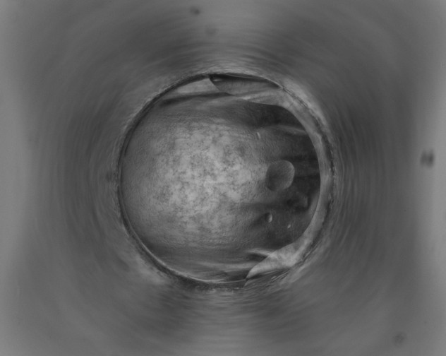 X0000090630481200707311309