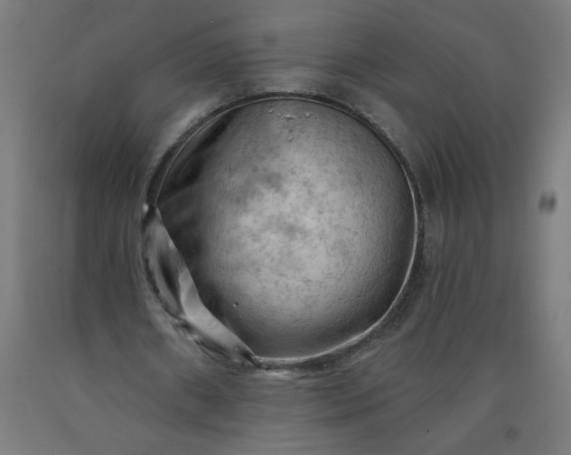 X0000090630482200707311309