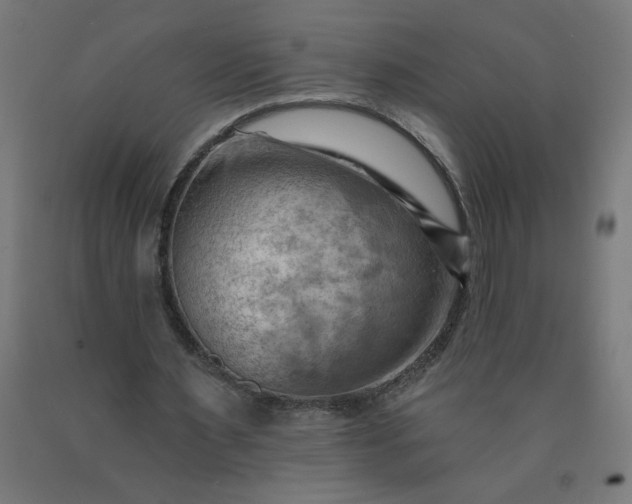 X0000090630483200707311309