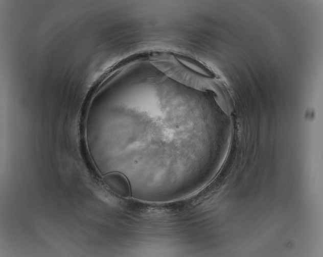 X0000090630487200707311308