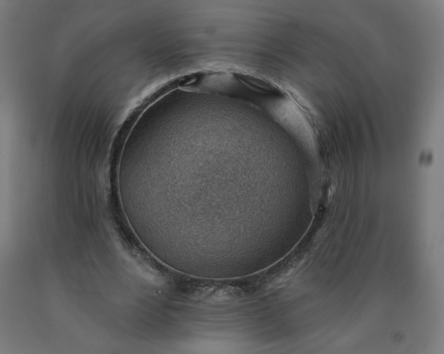 X0000090630488200707311308