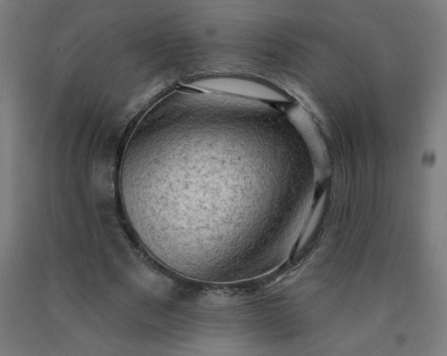 X0000090630489200707311308