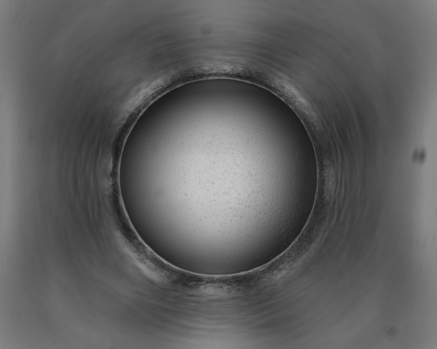 X0000090630490200707311308