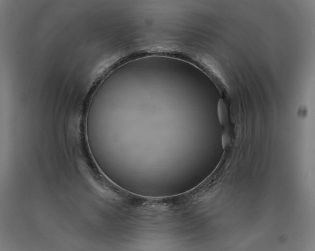 X0000090630491200707311308