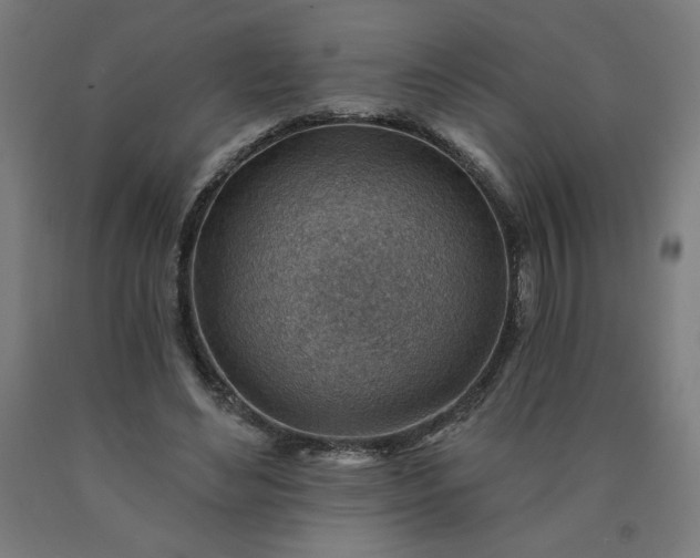 X0000090630492200707311308