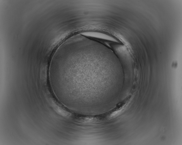 X0000090630493200707311308