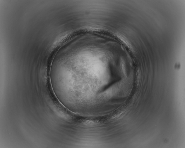 X0000090630494200707311308