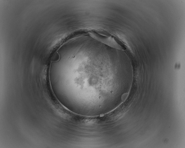 X0000090630495200707311308