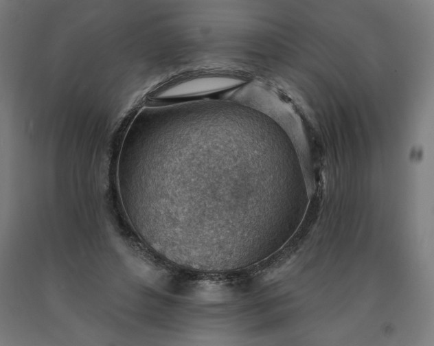 X0000090630496200707311308