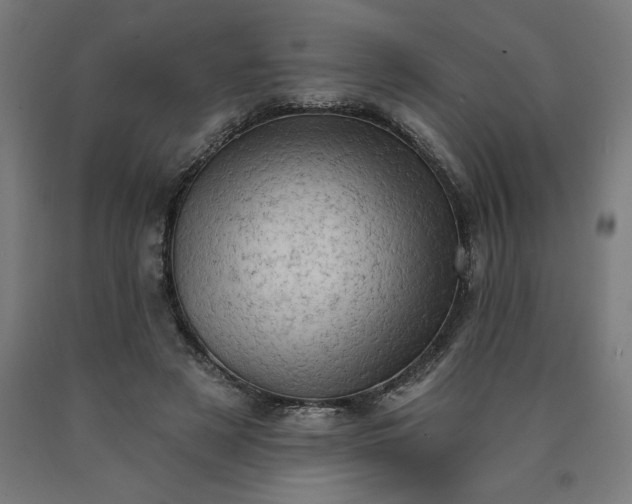 X0000090630497200707311308
