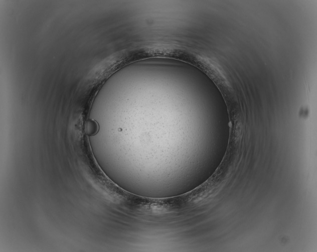 X0000090630498200707311308