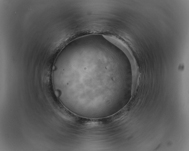 X0000090630499200707311308