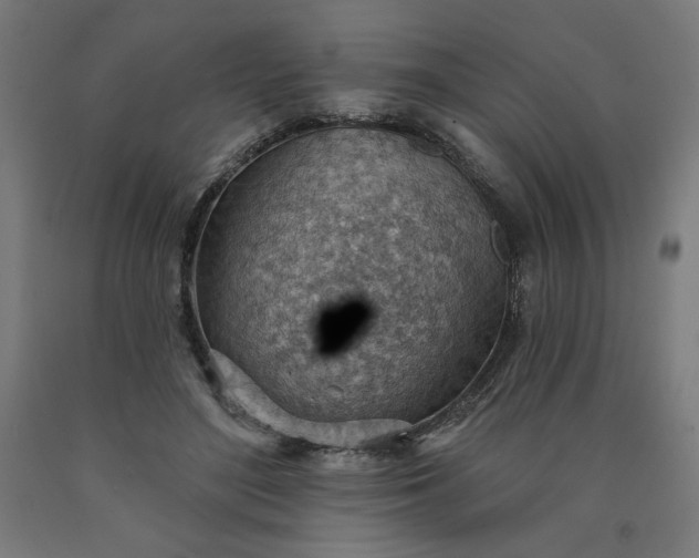 X0000090630500200707311308