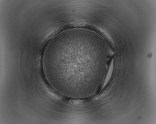 X0000090630501200707311308